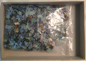 Image of the puzzle 2000, Jumbo, Morning Walk, by Lucio Sollazzi, Complete, Picture of the bag