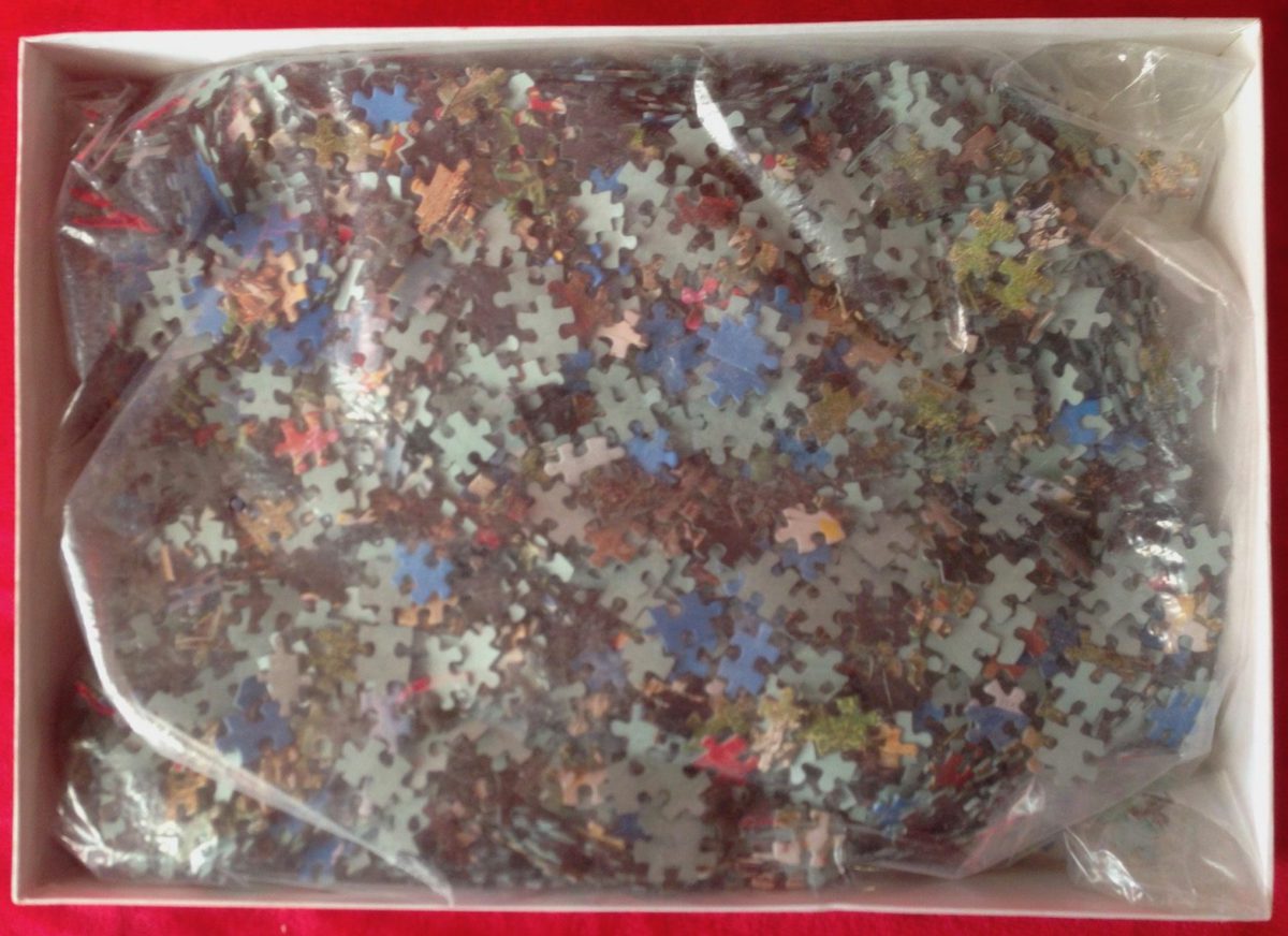 Image of the puzzle 3000, Diset, Lotschental, Complete, Picture of the bag