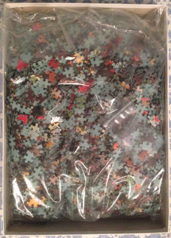 Image of the puzzle 6000, Schmidt, Flowerpot, Picture of the bag