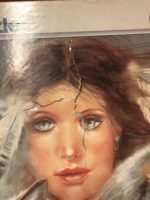 Image of the puzzle 6000, Schmidt, Indian Summer, Joy Caros, Sealed Bag, Detail of the box