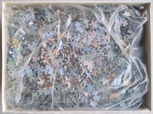 Image of the puzzle 5000, Educa, Neuschwanstein Castle (7995), Sealed Bag, Picture of the bag