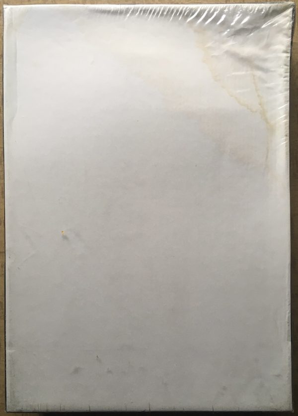 Image of the puzzle 1000, Borrás, The Madonna of Port Lligat, by Salvador Dalí, Picture of the back