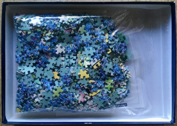 Image of the puzzle 1000, Nathan, In Fairyland (Magic Eye Collection), Complete, Picture of the bag