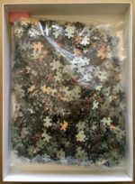 Image of the puzzle 2000, Bon, Portrait of Mademoiselle Irene Cahen d'Anvers, Auguste Renoir, Sealed Bag, Picture of the bag