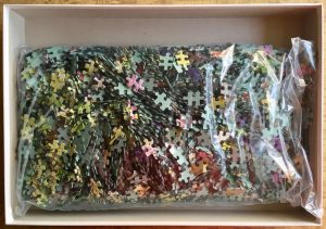 Image of the puzzle 3000, Jumbo, Flower Surprise, Eduard van Kookwijk, Sealed Bag, Picture of the bag