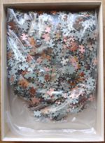 Image of the puzzle 1500, Ravensburger, Two Girls Reading, by Pierre-Auguste Renoir, Complete, Picture of the bag