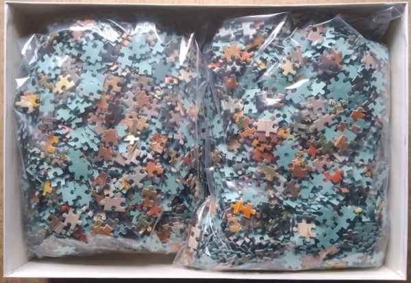 Image of the puzzle 5000, Educa, Saint James Fair, by Samuel Colman, Incomplete, Picture of the bag
