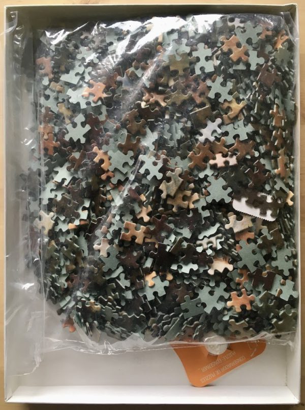Image of the puzzle 1500, R-G, Portrait of Mademoiselle Irene Cahen d'Anvers, by Renoir, Sealed Bag, Picture of the bag