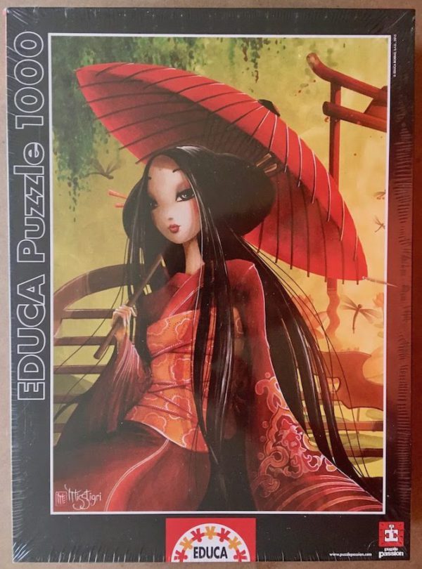 Image of the puzzle 1000, Educa, The Umbrella, by Misstigri, Factory Sealed, Picture of the box