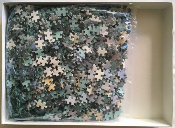 Image of the puzzle 2000, Sunbird, Iguazu Falls, by Larry Dyke, Picture of the bag