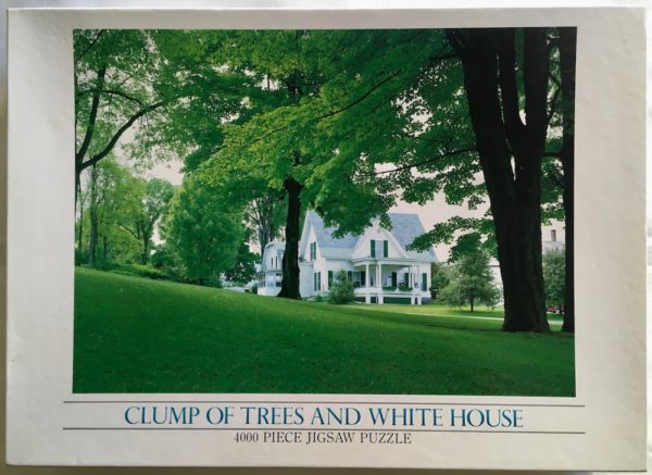 Image of the puzzle 4000, Bon, Clump of Trees and White House, Picture of the box