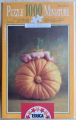 Image of the puzzle 1000, Educa, Country Pumpkin, by Anne Geddes (Miniature), Complete, Picture of the box