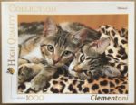 Image of the puzzle 1000, Clementoni, The Eyes of the Cats, by Keith Kimberlin, Complete, Picture of the box