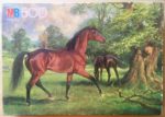 Image of the puzzle 500, MB, Stallion, Unknown Artist, Complete, Picture of the box
