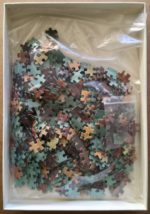 Image of the puzzle 500, Nathan, Young Girl Reading, by Fragonard, Complete, Picture of the bag