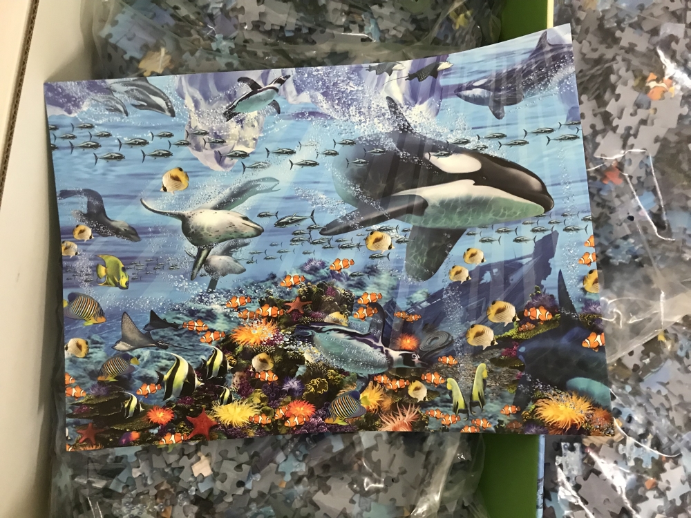 Underwater Sanctuary by John Enright Seaside Fish Ceaco Jigsaw Puzzle 3/17 L-55 for sale online 