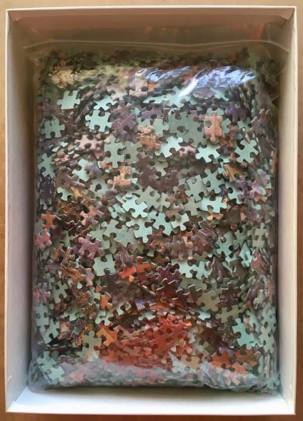 Image of the puzzle 3000, Nathan, Portrait of Père Tanguy, by Vincent van Gogh, Complete, Picture of the bag