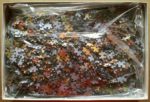 Image of the puzzle 4000, Clementoni, Autumn, by Chuck Pinson, Picture of the bag