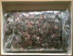 Image of the puzzle 3000, Sunbird, The School of Athens, by Raphael, Sealed Bag, Picture of the bag