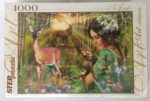 Image of the puzzle 4000, Step, Magic Valley, Unknown Artist, Picture of the box