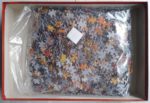 Image of the puzzle 2000, Trefl, A Harem Scene, by Giacomo Mantegazza, Sealed Bag, Picture of the bag