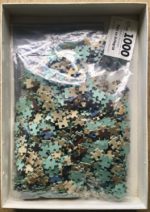 Image of the puzzle 1000, Nathan, Paul as Harlequin, by Pablo Picasso, Complete, Picture of the bag