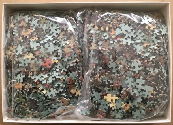 Image of the puzzle 4000, Nathan, Dutch Proverbs, by Pieter Bruegel the Elder, Complete, Picture of the bag