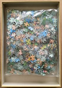 Image of the puzzle 1000, Jumbo, Fun around the Pool, by Jan van Haasteren, Sealed Bag, Picture of the bag