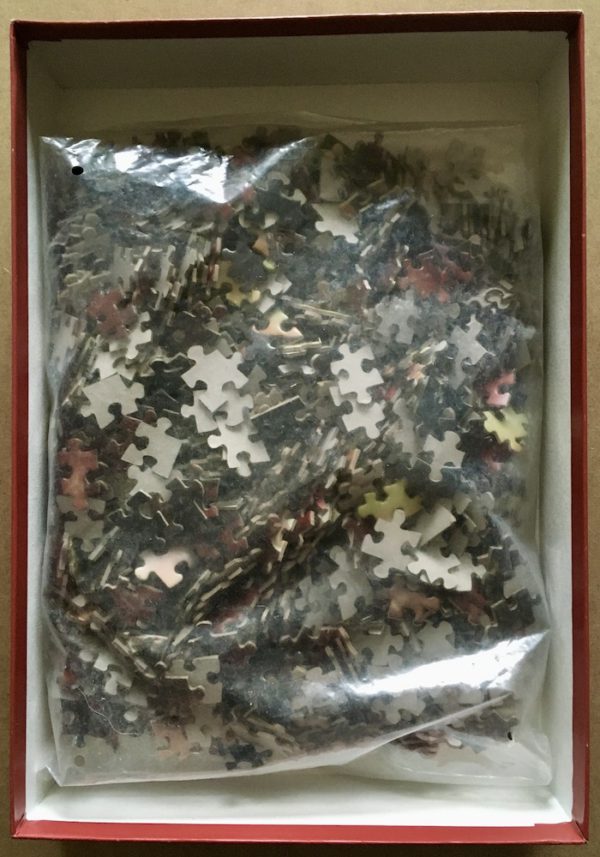 Image of the puzzle 1000, Ricrodi, Skull Warrior, by José del Nido, Sealed Bag, Picture of the bag
