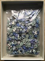 Image of the puzzle 1000, Ravensburger, Surfer, Complete, Picture of the bag