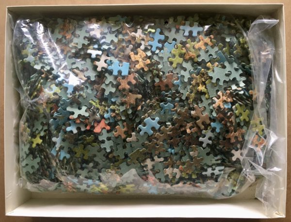 Image of the puzzle 3000, Waddingtons, Thatched Cottage, Hampshire, England, Picture of the bag