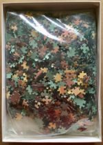 Image of the puzzle 2000, Nathan, Chinese Shadows, by Jamie Wellner, Sealed Bag, Picture of the bag
