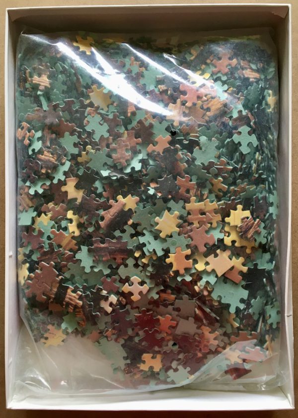 Image of the puzzle 2000, Nathan, Chinese Shadows, by Jamie Wellner, Sealed Bag, Picture of the bag