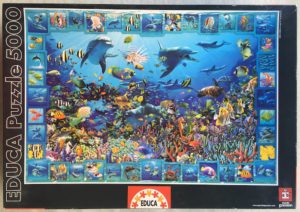 Image of the puzzle 5000, Educa, Dolphin Kingdom, by Royce B. McCLure, Picture of the box