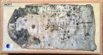Image of the puzzle 800, Educa, Map of Juan de la Cosa, Complete, Picture of the box