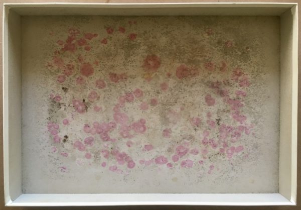 Image of the puzzle 3000, Ravensburger, Garmisch-Partenkirchen against The Zugspitze, Sealed Bag, Picture of the base