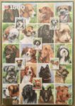 Image of the puzzle 1500, Jumbo, Dog Show, by Eke van Mansveld, Factory Sealed