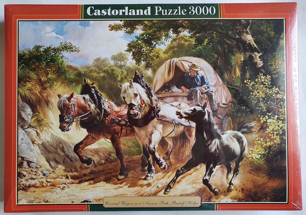 Castorland 3000 Pieces Puzzle, Along The River