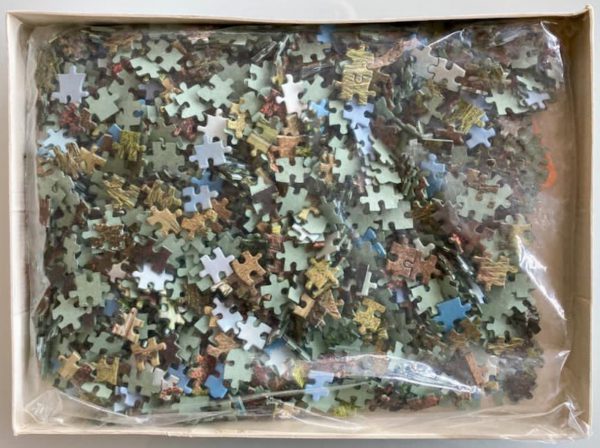 Image of the puzzle 1500, Educa, Betchworth, Surrey, England, Sealed, Bag, Picture of the bag