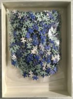 1000, Educa, Nippon Maru - Image 2