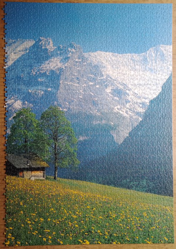 Image of the puzzle 3000, Nathan, Field in Flower, Complete, Picture of the puzzle