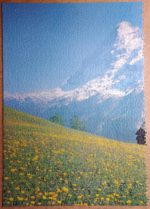 Image of the puzzle 3000, Nathan, Field in Flower, Complete, Picture of the puzzle