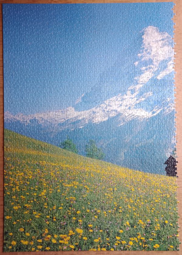 Image of the puzzle 3000, Nathan, Field in Flower, Complete, Picture of the puzzle