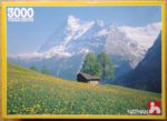 Image of the puzzle 3000, Nathan, Field in Flower, Complete, Picture of the box