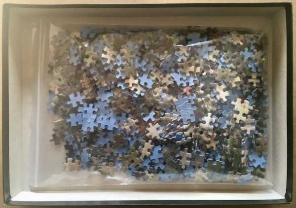 Image of the puzzle 1000, D-Toys, The Dancing Class, Edgar Degas, Complete, Picture of the bag