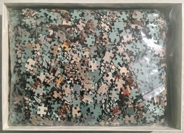 Image of the puzzle 3000, Nathan, Winter in Holland, J. van der Bowlen, Complete, Picture of the bag