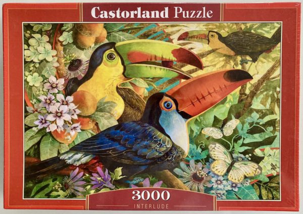 Image of the puzzle 3000, Castorland, Interlude, David Galchutt, Factory Sealed