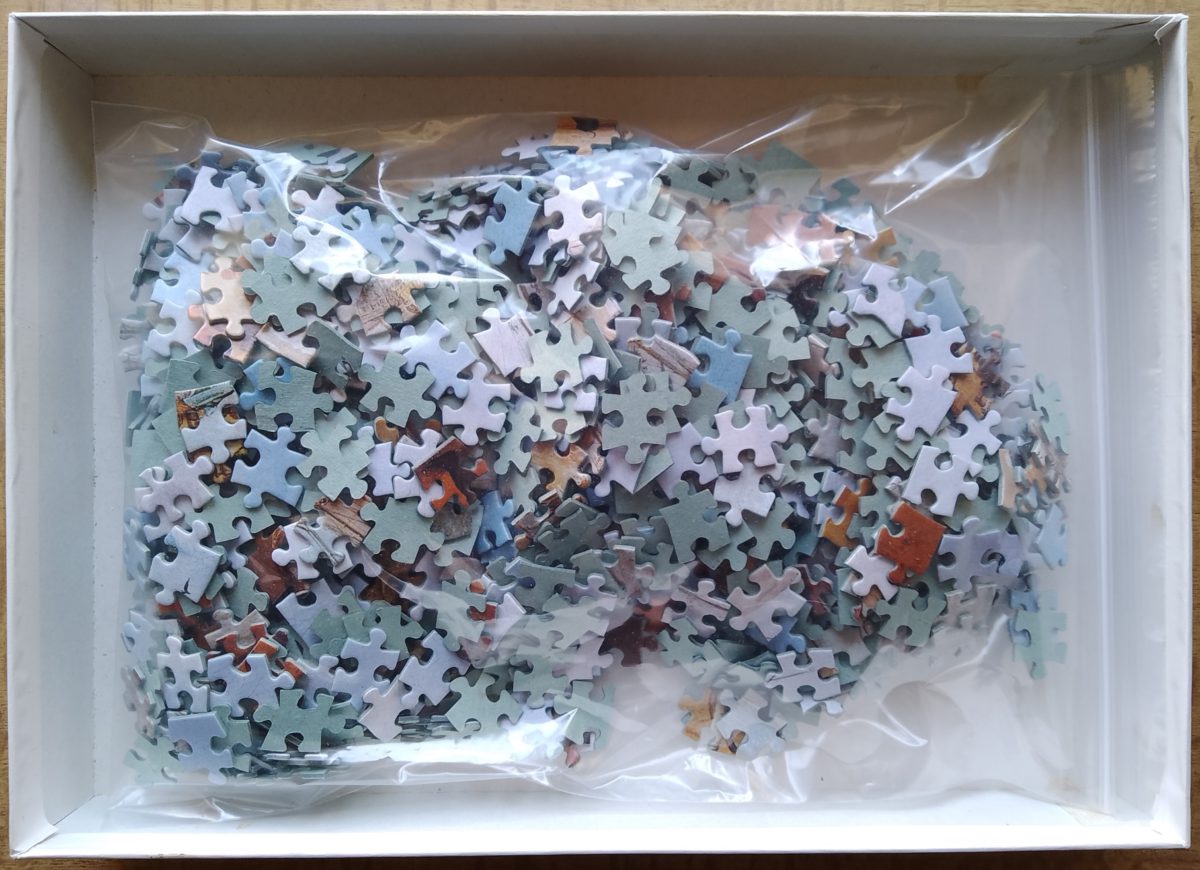 1000, Nathan, Fishing Scene, Adam Willaerts, Complete, 2024-04-26 Image of the puzzle 1000, Nathan, Fishing Scene, Adam Willaerts, Complete, Picture of the bag