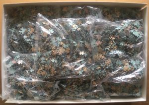 Image of the puzzle 20000, Weltbild, World Map, Complete, Picture of the box