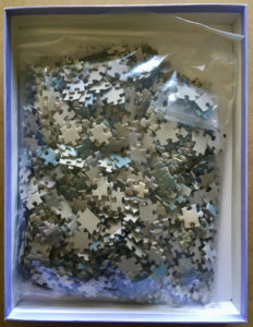 Image of the puzzle 1000, Pomegranate, Lady Agnew of Lochnaw, by John Singer Sargent, Complete, Picture of the bag